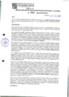 Vista preliminar de documento 331