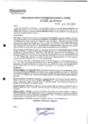 Vista preliminar de documento 333