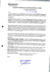 Vista preliminar de documento 336