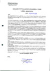 Vista preliminar de documento 351