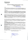 Vista preliminar de documento 381