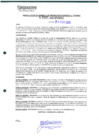 Vista preliminar de documento 385