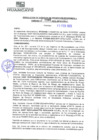 Vista preliminar de documento 386