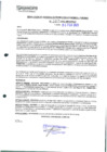 Vista preliminar de documento 407