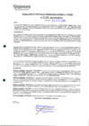 Vista preliminar de documento 409