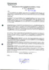 Vista preliminar de documento 477