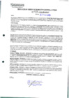 Vista preliminar de documento 478