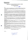 Vista preliminar de documento 482