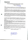 Vista preliminar de documento 490