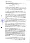 Vista preliminar de documento 495