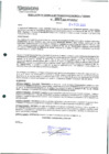 Vista preliminar de documento 507