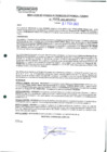 Vista preliminar de documento 529