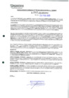 Vista preliminar de documento 545