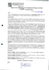 Vista preliminar de documento 560