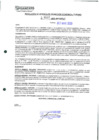 Vista preliminar de documento 597
