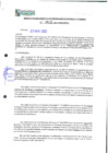 Vista preliminar de documento 613