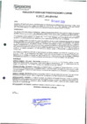 Vista preliminar de documento 617