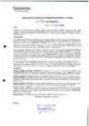 Vista preliminar de documento 739