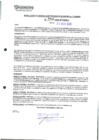 Vista preliminar de documento 900