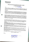 Vista preliminar de documento 919