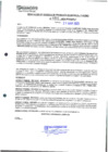 Vista preliminar de documento 991