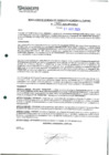 Vista preliminar de documento 1068