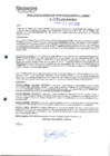 Vista preliminar de documento 1194
