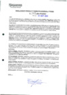Vista preliminar de documento 1343