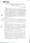 Vista preliminar de documento 2010