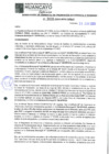 Vista preliminar de documento 2030