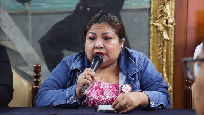 Regidora MPP