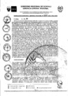 Vista preliminar de documento RGGR0339-2024