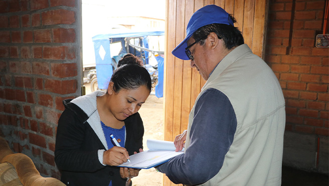 Continua con la distribución del producto del Vaso de Leche (PVL) a los comités de la provincia de Huarmey.