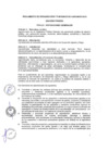 Vista preliminar de documento Reglamento