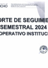 Vista preliminar de documento REPORTE DE SEGUIMIENTO SEMESTRAL 2024 - PLAN OPERATIVO INSTITUCIONAL
