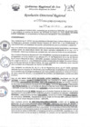 Vista preliminar de documento RDR-0866-2024