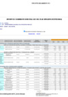 Vista preliminar de documento  Reporte de seguimiento del Plan Operativo Institucional (POI) semestral 2024 - Sunarp
