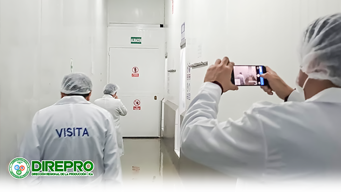 Supervisión Técnico Ambiental en el Establecimiento Pesquero Artesanal "JJ ROE SAC"