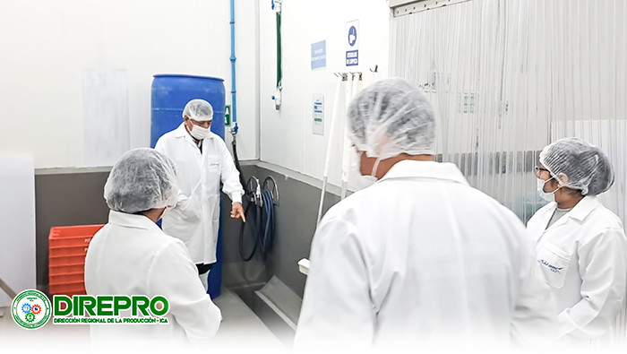 Supervisión Técnico Ambiental en el Establecimiento Pesquero Artesanal "JJ ROE SAC"