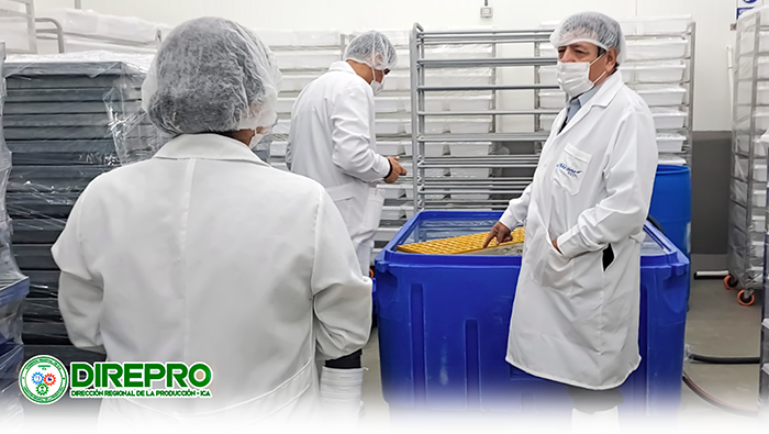 Supervisión Técnico Ambiental en el Establecimiento Pesquero Artesanal "JJ ROE SAC"