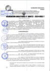 Vista preliminar de documento R.D 0722-2024