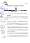 Vista preliminar de documento R.D 0700-2024