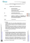 Vista preliminar de documento Informe n° 00021-2024-SUNASS-ODS-PUN