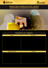 Vista preliminar de documento Servicio Laboratorio de Diagnóstico por Imágenes