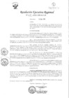 Vista preliminar de documento RER-009-2020-GRSM-GR