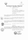 Vista preliminar de documento RER-012-2020-GRSM-GR