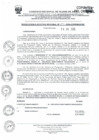 Vista preliminar de documento RER-155-2024-GOREMAD-GR