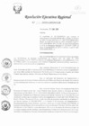Vista preliminar de documento RER-022-2020-GRSM-GR