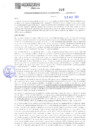 Vista preliminar de documento 216