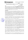 Vista preliminar de documento 218